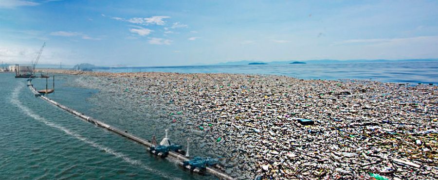 This is an image from the great pacific garbage patch. 