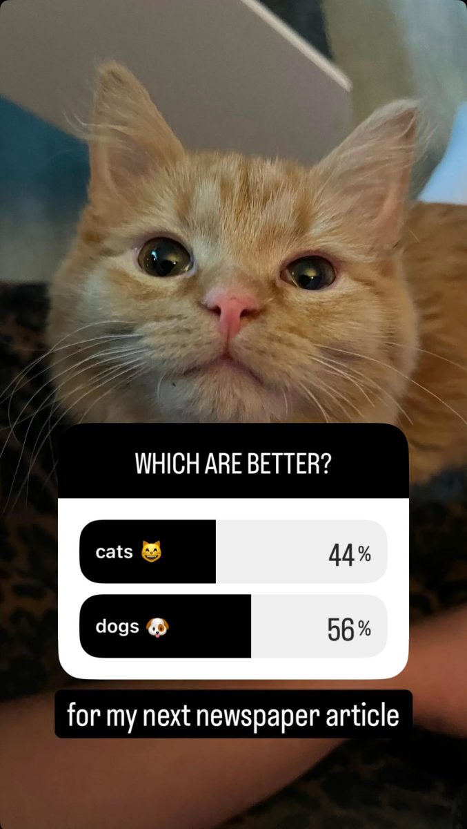 In a recent poll dogs won when compared to cats by 12%.